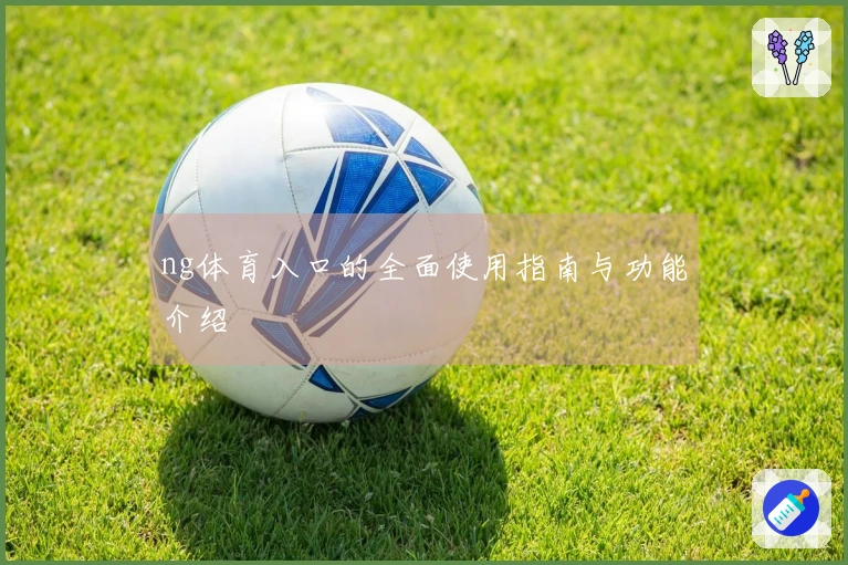 ng体育入口的全面使用指南与功能介绍