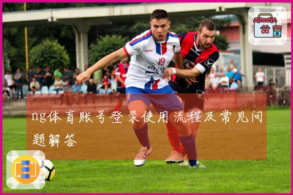 ng体育账号登录使用流程及常见问题解答