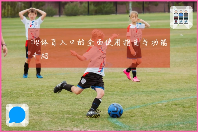 ng体育入口的全面使用指南与功能介绍