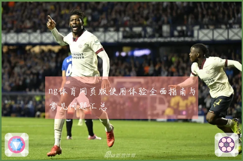 ng体育网页版使用体验全面指南与常见问题汇总
