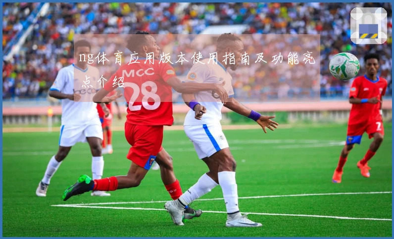 ng体育应用版本使用指南及功能亮点介绍