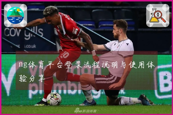ng体育平台登录流程说明与使用体验分享
