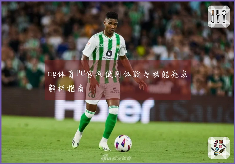 ng体育PC官网使用体验与功能亮点解析指南