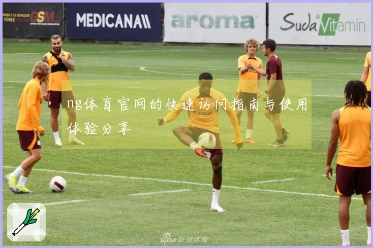 ng体育官网的快速访问指南与使用体验分享