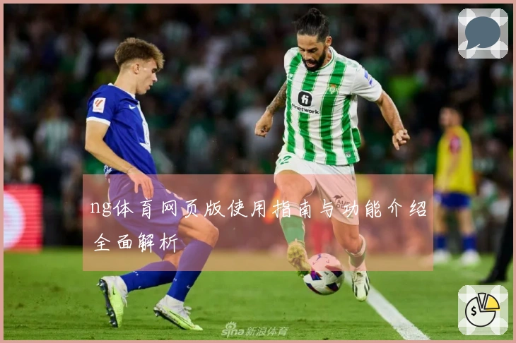 ng体育网页版使用指南与功能介绍全面解析